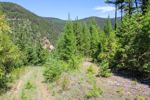 Tiny photo for Tract 1 Pardee Flat Road, Superior, MT 59872 (MLS # 30074041)