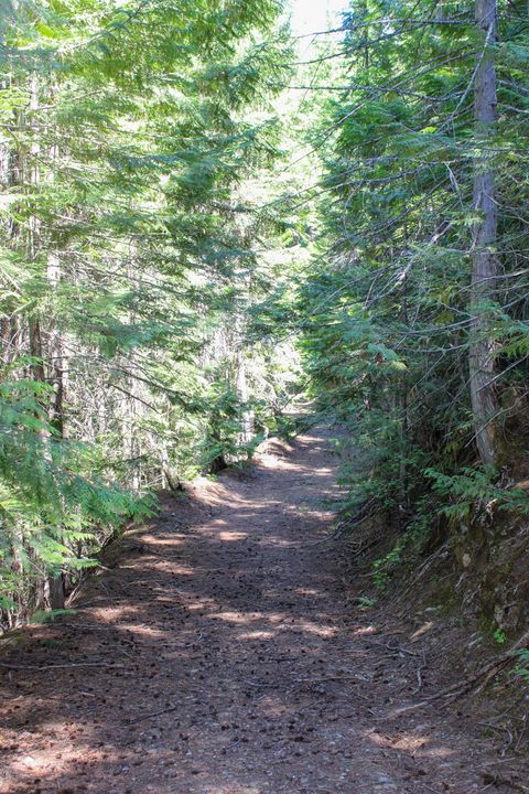 Tiny photo for Tract 1 Pardee Flat Road, Superior, MT 59872 (MLS # 30074041)