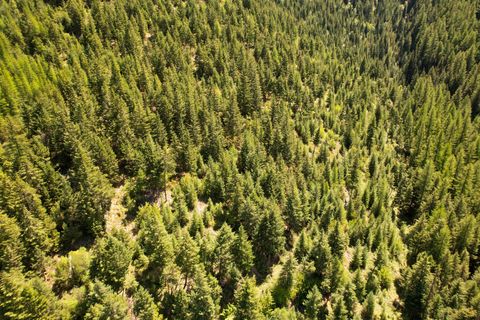 Tiny photo for Tract 1 Pardee Flat Road, Superior, MT 59872 (MLS # 30074041)