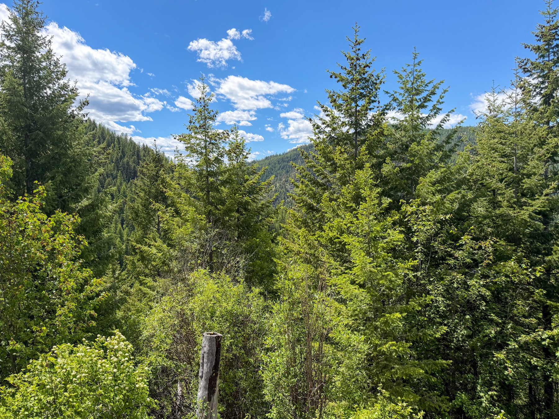 Tract 1 Pardee Flat Road