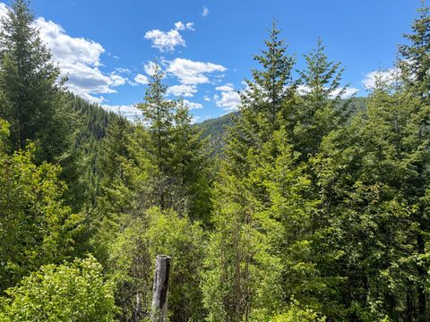 Tiny photo for Tract 1 Pardee Flat Road, Superior, MT 59872 (MLS # 30074041)