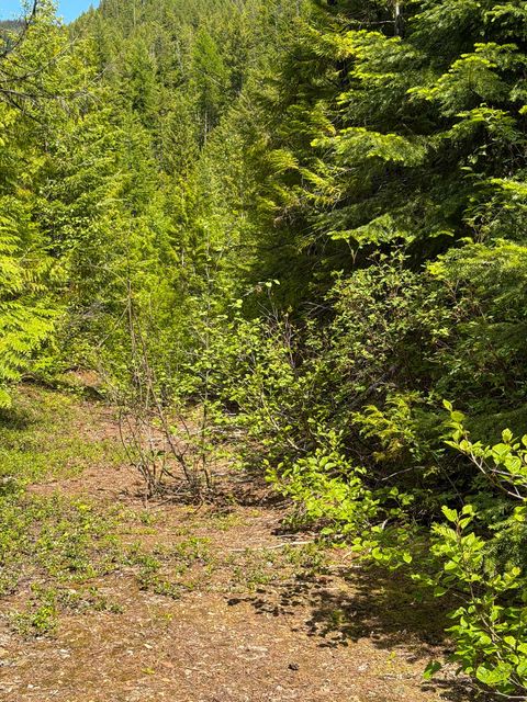 Tiny photo for Tract 1 Pardee Flat Road, Superior, MT 59872 (MLS # 30074041)