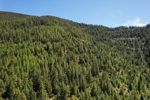 Tiny photo for Tract 1 Pardee Flat Road, Superior, MT 59872 (MLS # 30074041)