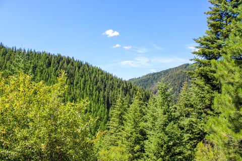 Photo of Tract 1 Pardee Flat Road, Superior, MT 59872 (MLS # 30074041)
