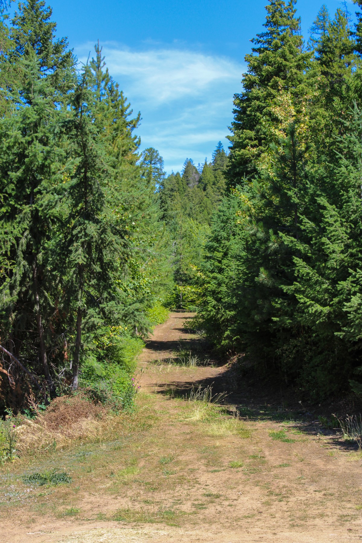 Tract 1 Pardee Flat Road