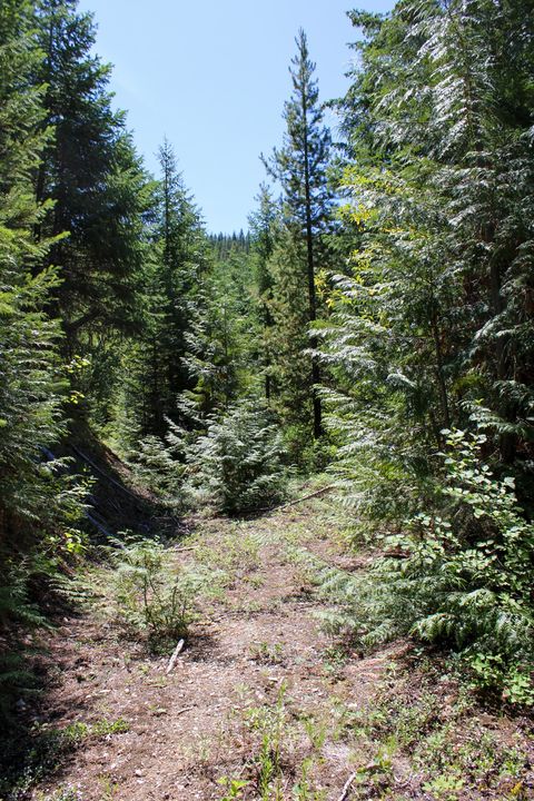 Tiny photo for Tract 1 Pardee Flat Road, Superior, MT 59872 (MLS # 30074041)