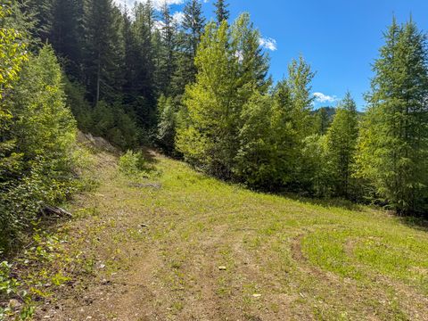 Tiny photo for Tract 1 Pardee Flat Road, Superior, MT 59872 (MLS # 30074041)
