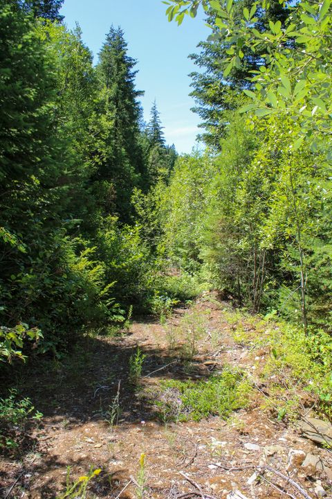 Tiny photo for Tract 1 Pardee Flat Road, Superior, MT 59872 (MLS # 30074041)