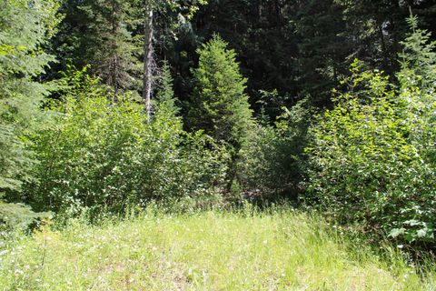Tiny photo for Tract 1 Pardee Flat Road, Superior, MT 59872 (MLS # 30074041)