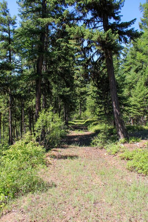 Tiny photo for Tract 1 Pardee Flat Road, Superior, MT 59872 (MLS # 30074041)