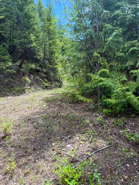 Tiny photo for Tract 1 Pardee Flat Road, Superior, MT 59872 (MLS # 30074041)