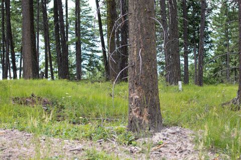 Tiny photo for 149 Rosewood Lane #Lot 8, Whitefish, MT 59937 (MLS # 30053013)