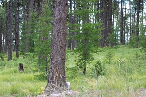 Tiny photo for 149 Rosewood Lane #Lot 8, Whitefish, MT 59937 (MLS # 30053013)