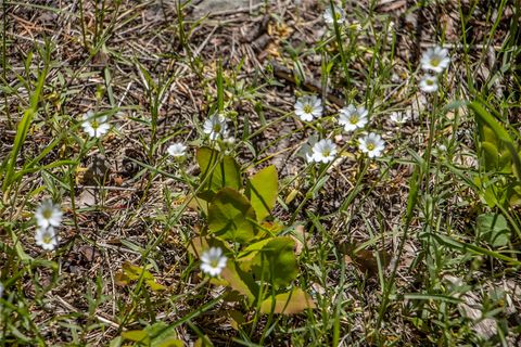 Tiny photo for 87 Rock Ridge Way, Bigfork, MT 59911 (MLS # 30071075)