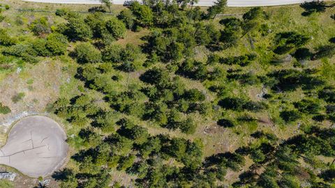 Tiny photo for 87 Rock Ridge Way, Bigfork, MT 59911 (MLS # 30071075)