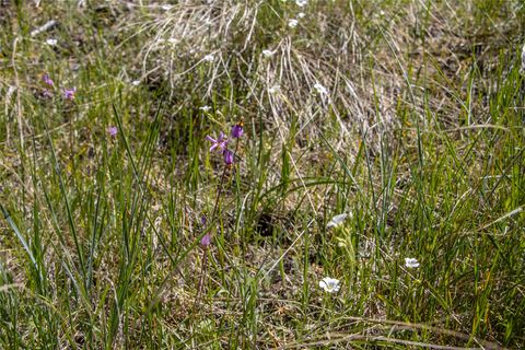 Tiny photo for 87 Rock Ridge Way, Bigfork, MT 59911 (MLS # 30071075)