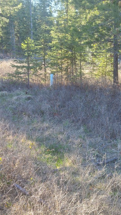 Tiny photo for 117 LJC Lane, Whitefish, MT 59937 (MLS # 30069192)