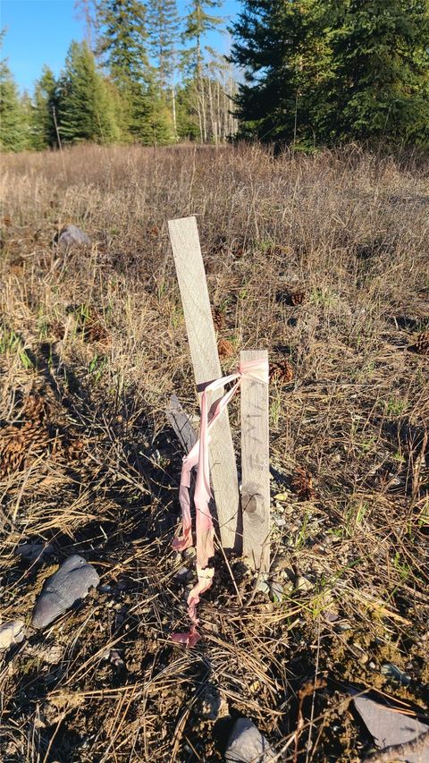 Tiny photo for 117 LJC Lane, Whitefish, MT 59937 (MLS # 30069192)