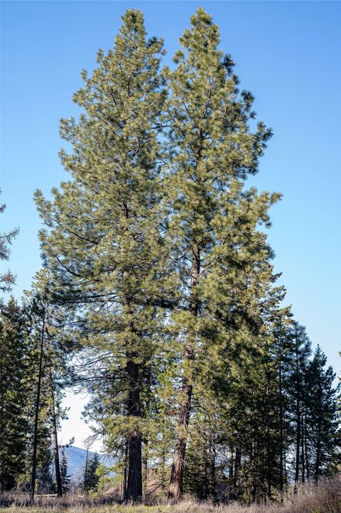 Tiny photo for 117 LJC Lane, Whitefish, MT 59937 (MLS # 30069192)