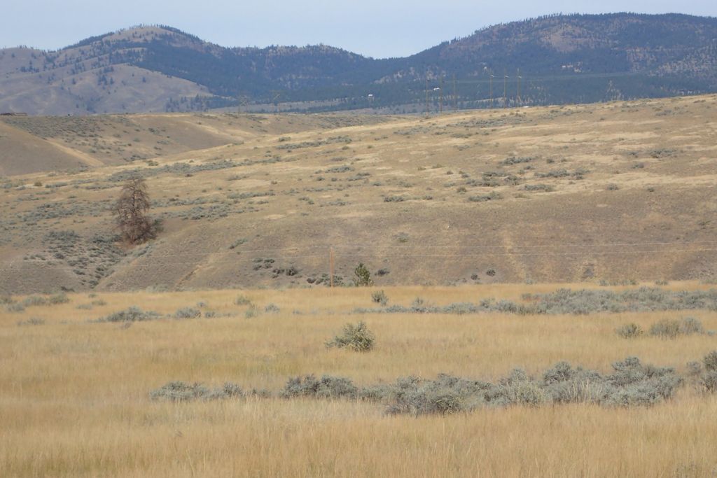 Photo of 626 Willy Way, Stevensville, MT 59870 (MLS # 30046662)