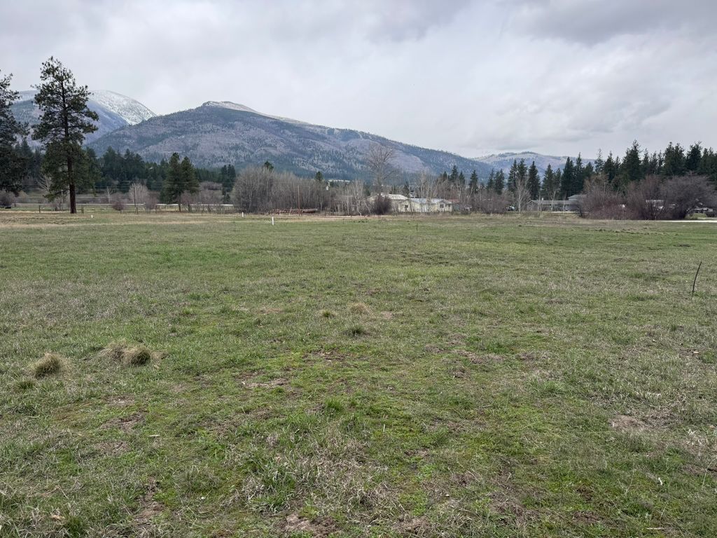 Photo of NHN Two Moons Road, Florence, MT 59833 (MLS # 30067941)