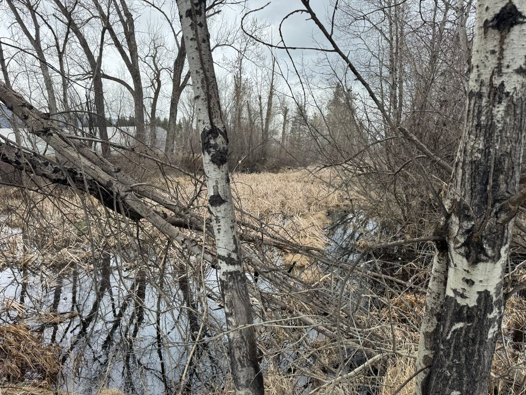 Photo of NHN Two Moons Road, Florence, MT 59833 (MLS # 30067941)