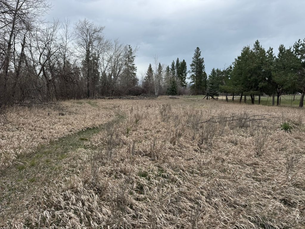 Photo of NHN Two Moons Road, Florence, MT 59833 (MLS # 30067941)