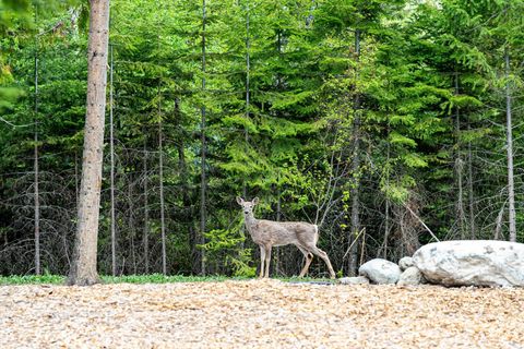 Tiny photo for 2130 Lion Mountain Road, Whitefish, MT 59937 (MLS # 30069956)