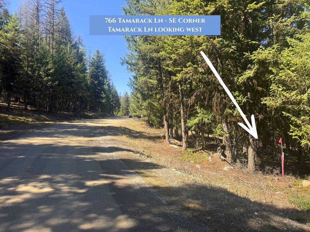 Photo of 766 Tamarack Lane, Rexford, MT 59930 (MLS # 30067924)