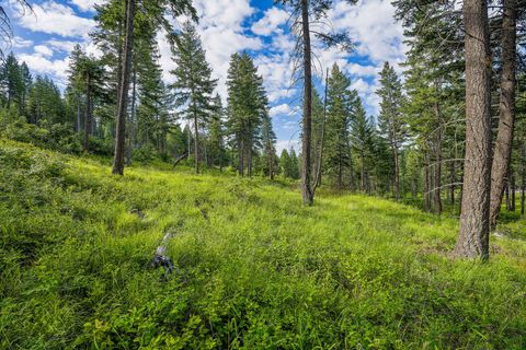 Tiny photo for 16 Bridle Court, Bigfork, MT 59911 (MLS # 30069970)