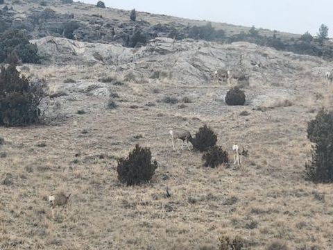 Tiny photo for Parcel 1 Bradley Creek Road, Norris, MT 59745 (MLS # 30072522)