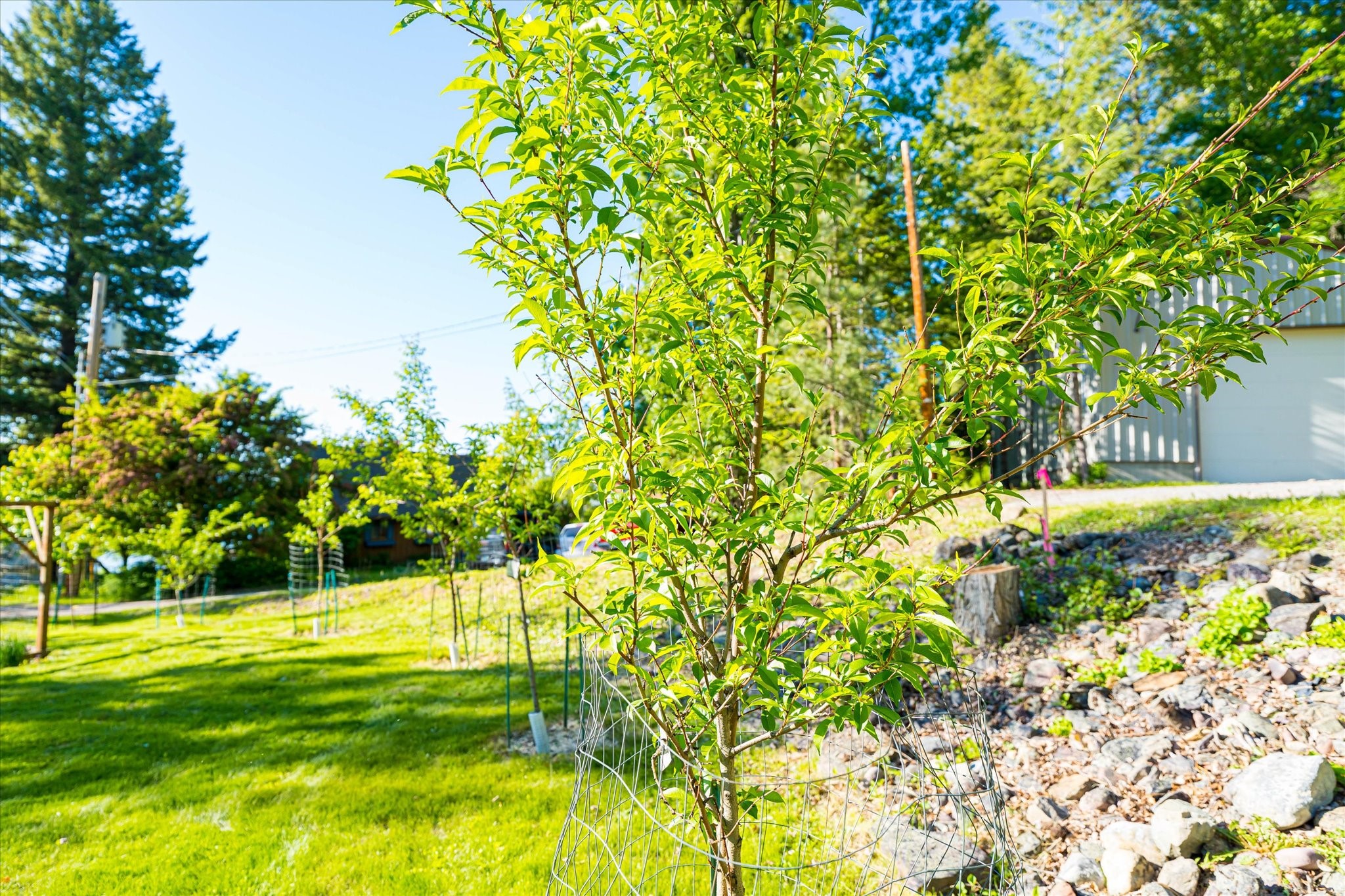 Polson, Montana 59860, United States, 4 Bedrooms Bedrooms, ,3 BathroomsBathrooms,Residential,Active,103590