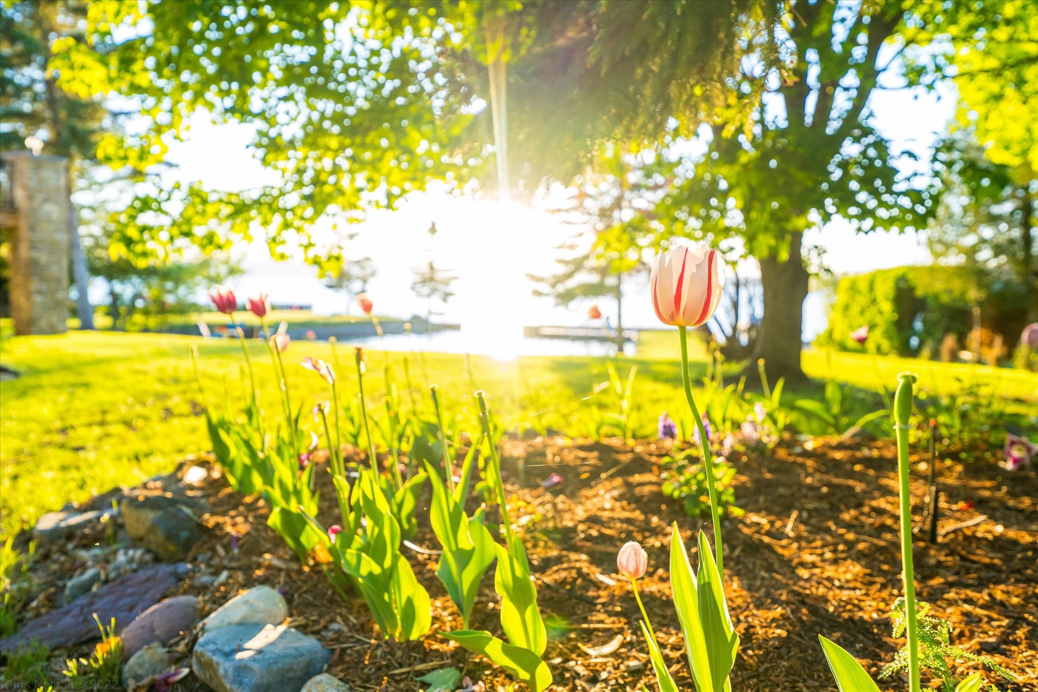 Polson, Montana 59860, United States, 4 Bedrooms Bedrooms, ,3 BathroomsBathrooms,Residential,Active,103590