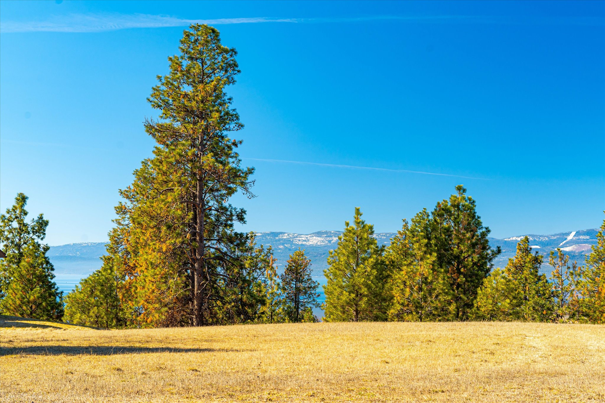 Bigfork, Montana 59911, United States, ,Land,Active,120485