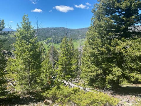 Tiny photo for Anna Indian Creek Road, Townsend, MT 59644 (MLS # 30076319)