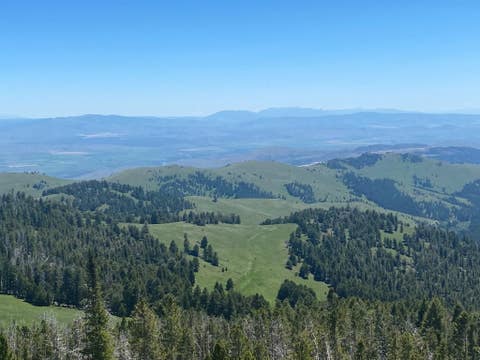 Tiny photo for Anna Indian Creek Road, Townsend, MT 59644 (MLS # 30076319)