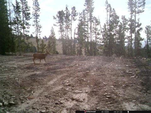 Tiny photo for Anna Indian Creek Road, Townsend, MT 59644 (MLS # 30076319)
