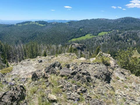 Tiny photo for Anna Indian Creek Road, Townsend, MT 59644 (MLS # 30076319)
