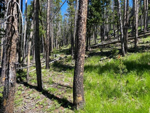 Tiny photo for Anna Indian Creek Road, Townsend, MT 59644 (MLS # 30076319)