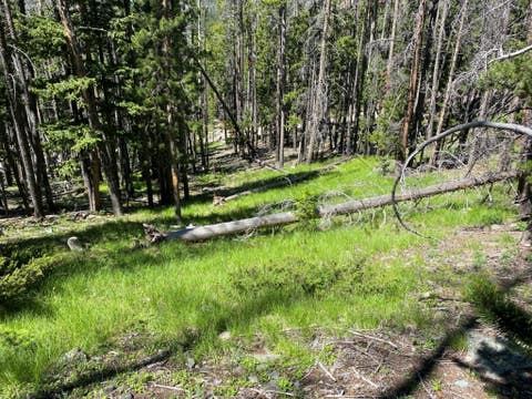 Tiny photo for Anna Indian Creek Road, Townsend, MT 59644 (MLS # 30076319)