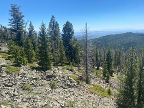 Tiny photo for Anna Indian Creek Road, Townsend, MT 59644 (MLS # 30076319)