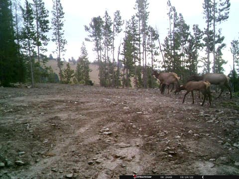 Tiny photo for Anna Indian Creek Road, Townsend, MT 59644 (MLS # 30076319)