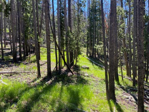 Tiny photo for Anna Indian Creek Road, Townsend, MT 59644 (MLS # 30076319)