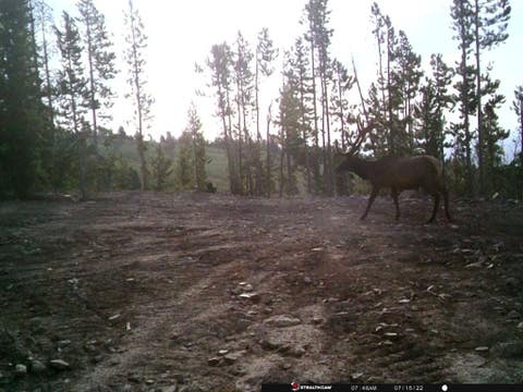 Tiny photo for Anna Indian Creek Road, Townsend, MT 59644 (MLS # 30076319)