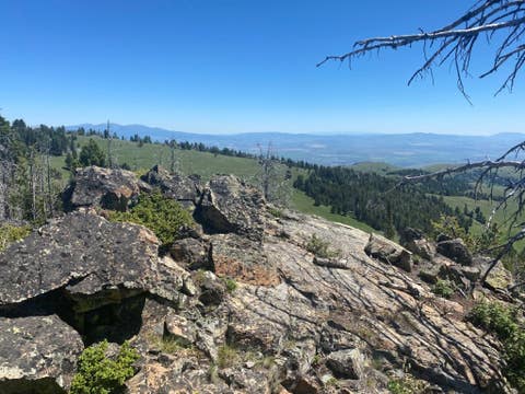 Tiny photo for Anna Indian Creek Road, Townsend, MT 59644 (MLS # 30076319)