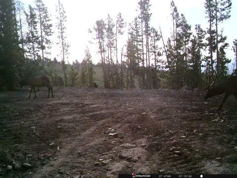 Tiny photo for Anna Indian Creek Road, Townsend, MT 59644 (MLS # 30076319)