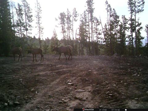 Tiny photo for Anna Indian Creek Road, Townsend, MT 59644 (MLS # 30076319)