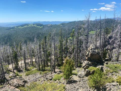 Tiny photo for Anna Indian Creek Road, Townsend, MT 59644 (MLS # 30076319)
