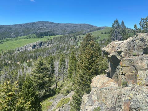 Tiny photo for Anna Indian Creek Road, Townsend, MT 59644 (MLS # 30076319)