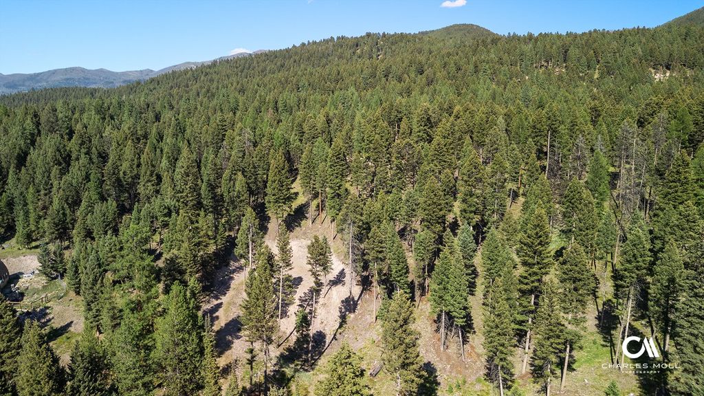 Photo of 170 Leota Peak Court, Seeley Lake, MT 59868 (MLS # 30068943)